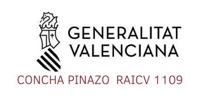 Concha Pinazo Inmobiliaria inscrita en el RAICV 1109 de la Generalitat Valenciana
